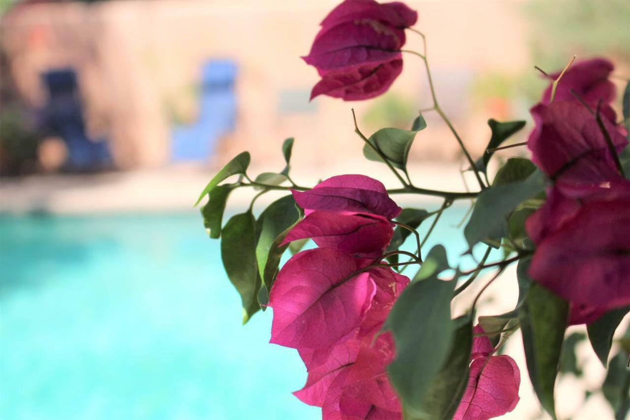 Adobe Rose Inn ツーソン エクステリア 写真